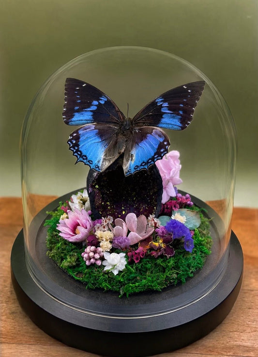 Vlinderstolp - Charaxes smaragdalis & Bergkristal Geode - Fifoldara Boutique