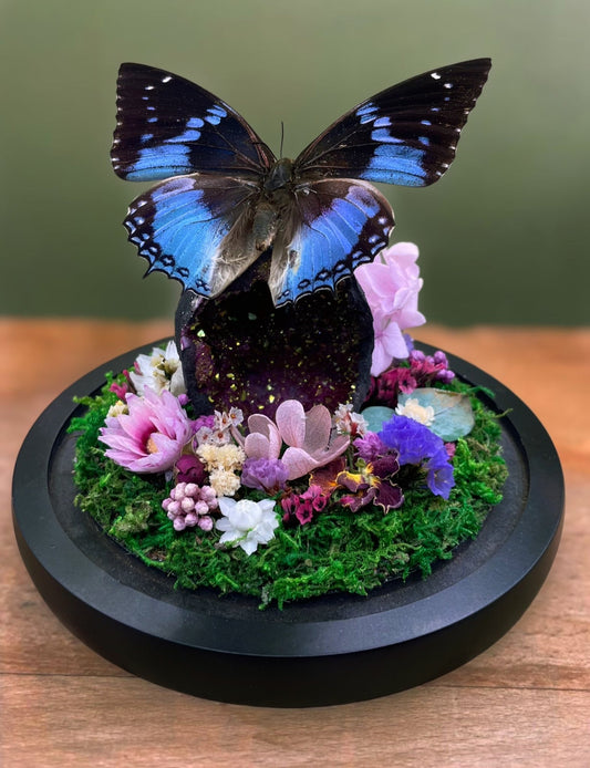 Vlinderstolp - Charaxes smaragdalis & Bergkristal Geode - Fifoldara Boutique