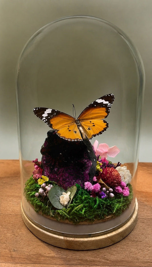 Vlinderstolp - Danaus chrysippus & Amethist geode - Fifoldara Boutique