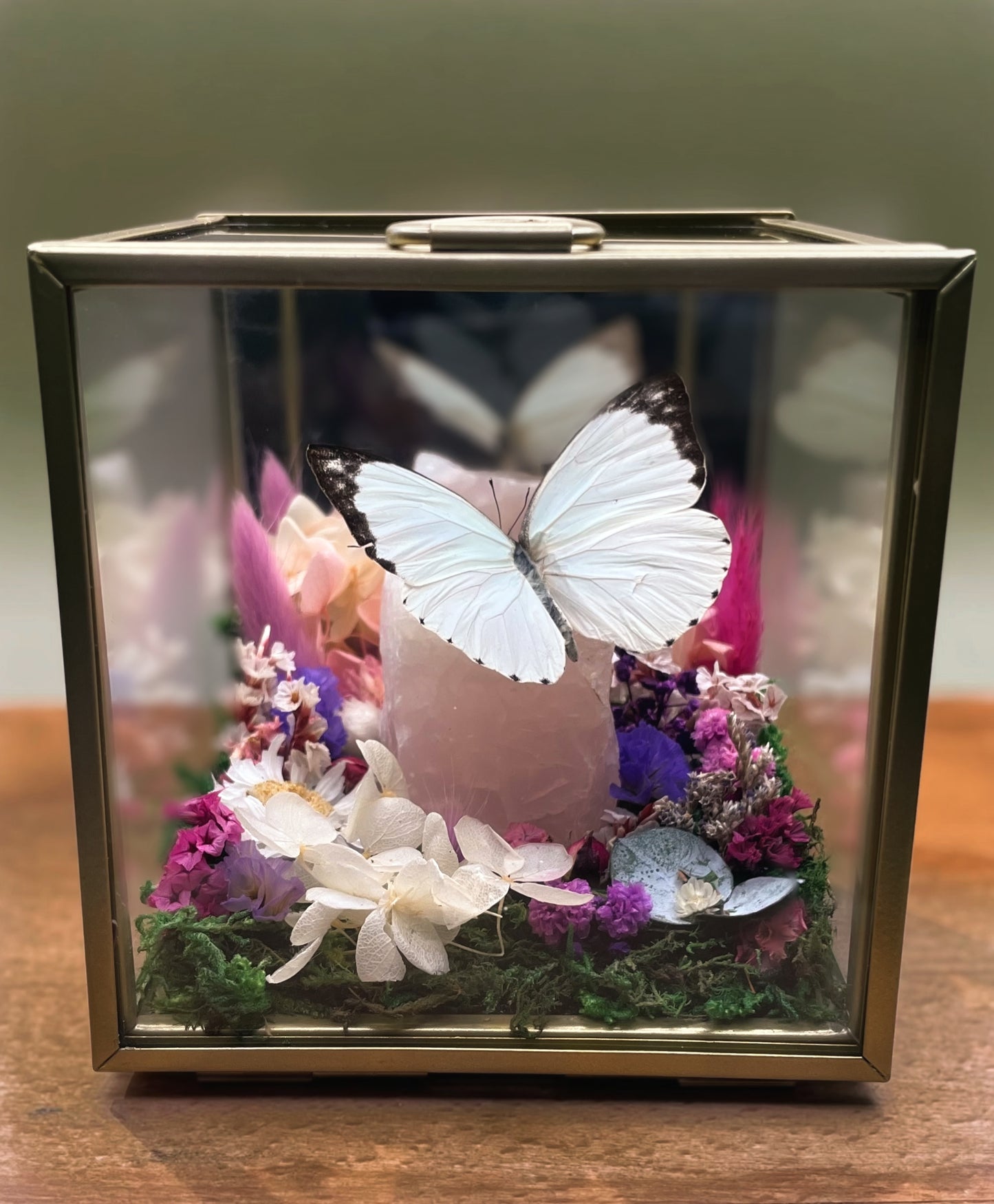 Vlinderbox – Pieris argia met een rozenkwarts